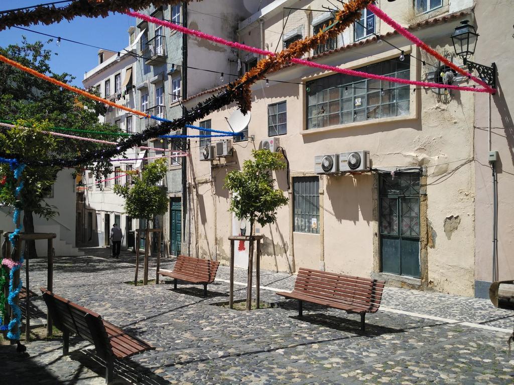 Jasmim * Lisboa